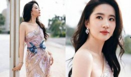 女明星趣事爆料视频播放,趣事爆料视频大揭秘